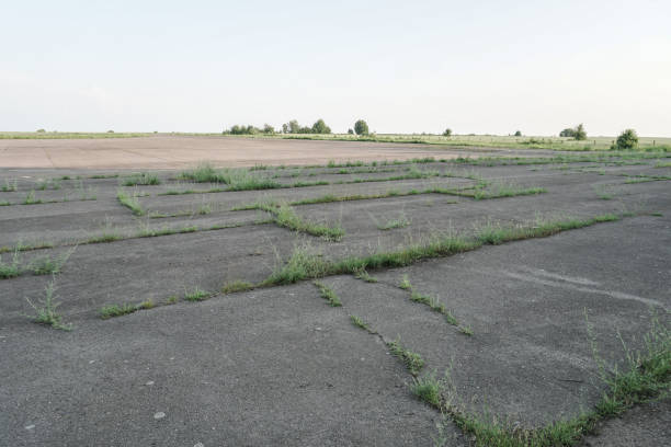 Court turns down plea that the applicant has other remedies.