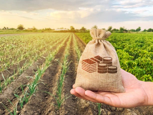 Payment of rent by agricultural produce has to be subject to a written agreement